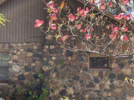 180 Dutch Flat Rd, Dutch Flat, CA 95714 Photo