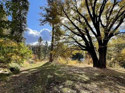 180 Dutch Flat Rd, Dutch Flat, CA 95714 Photo
