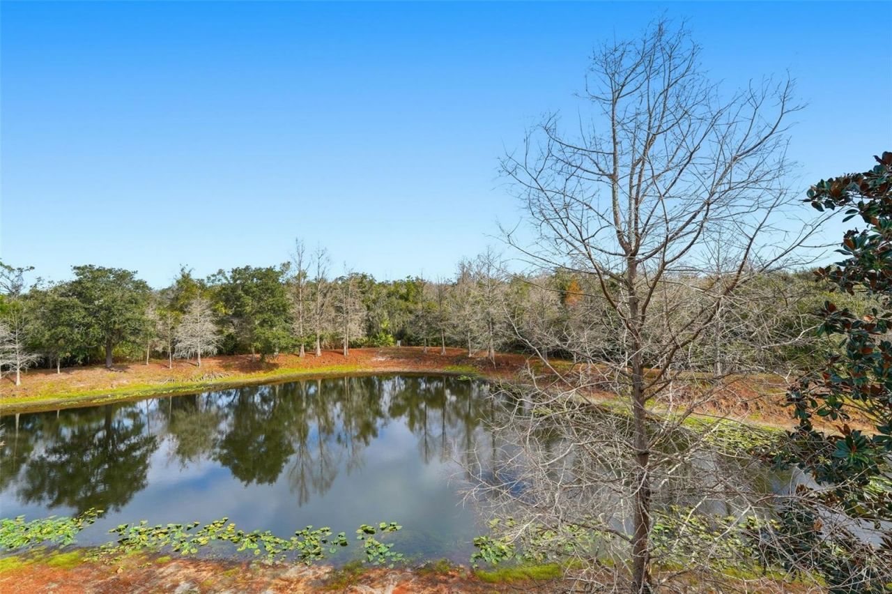 9024 White Sage Loop, Lakewood Ranch, FL 34202 Photo