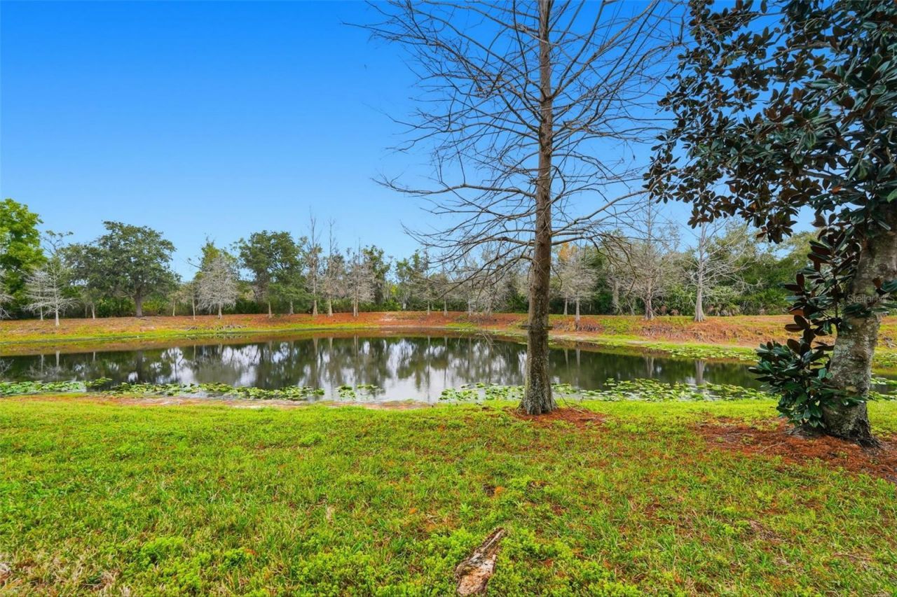 9024 White Sage Loop, Lakewood Ranch, FL 34202 Photo