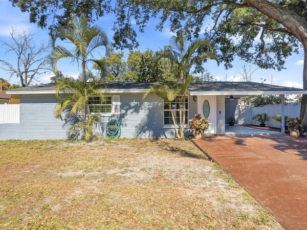 113 W NORTH STREET, TAMPA, FL 33604