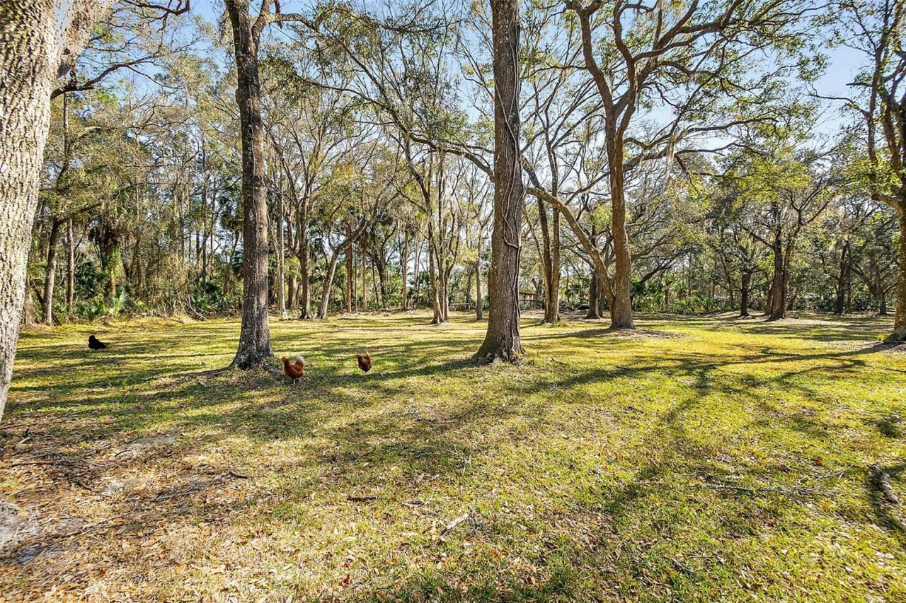 998 County Road 302, Bunnell, FL 32110 Photo