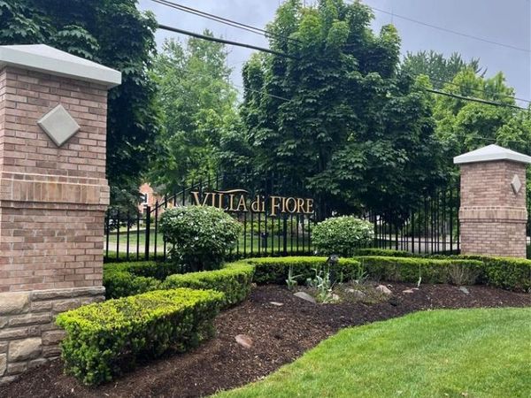 Camellia , Clinton Twp, MI 48036