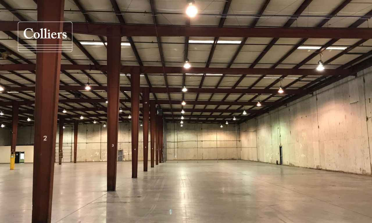 116 Springbok Lane Photo 10