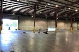 116 Springbok Lane photo 4