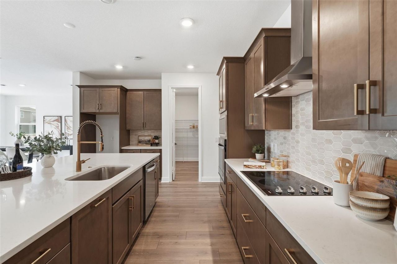 3500 Lemon Button Terrace, Apopka, FL 32712 Photo