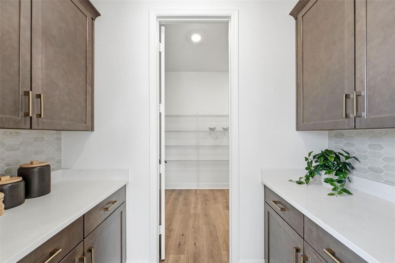 3500 Lemon Button Terrace, Apopka, FL 32712 Photo