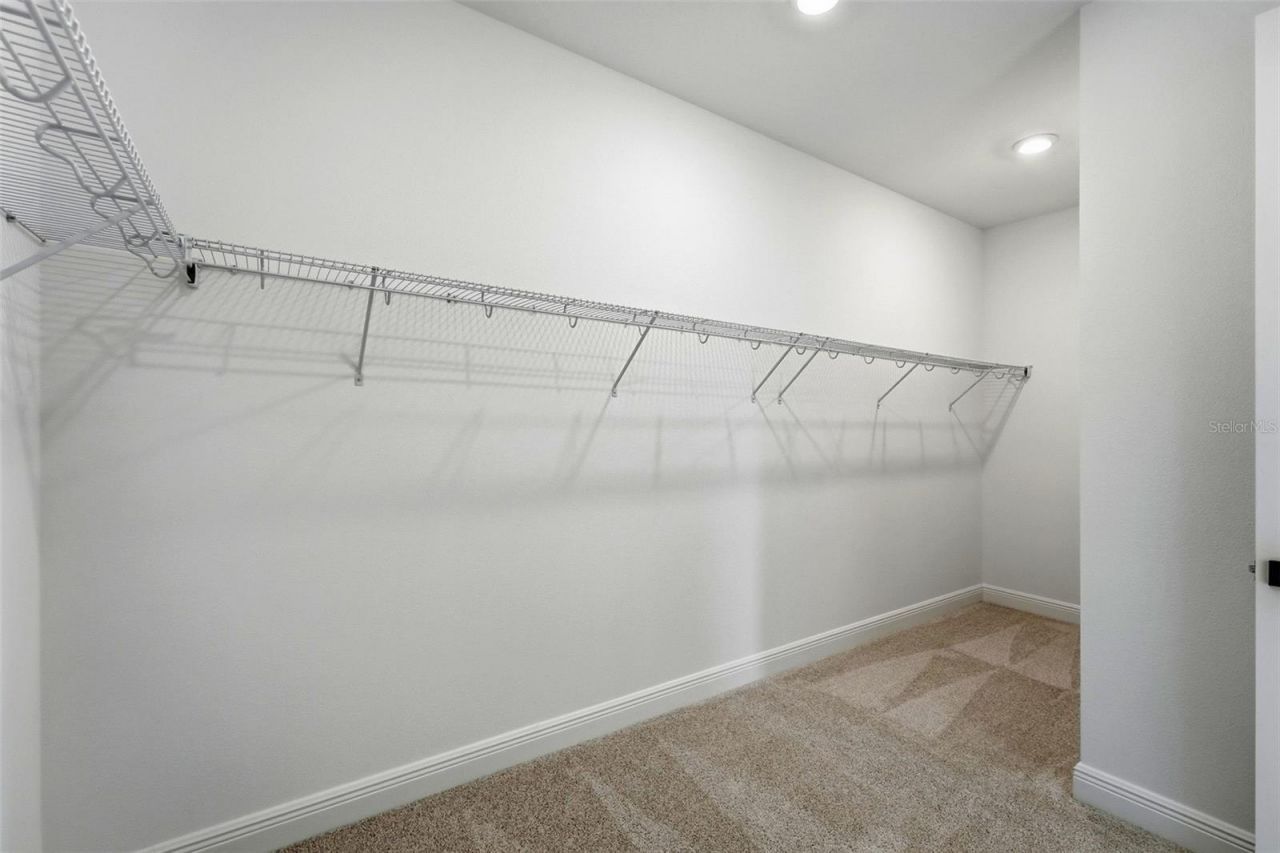 3500 Lemon Button Terrace, Apopka, FL 32712 Photo