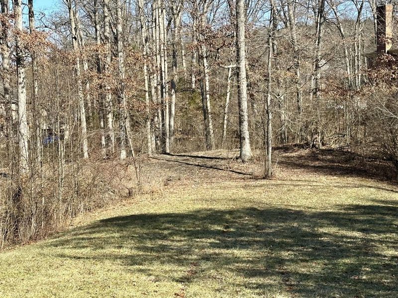 1 Saddle Ridge Trail, Alexandria, KY 41001 Photo 5