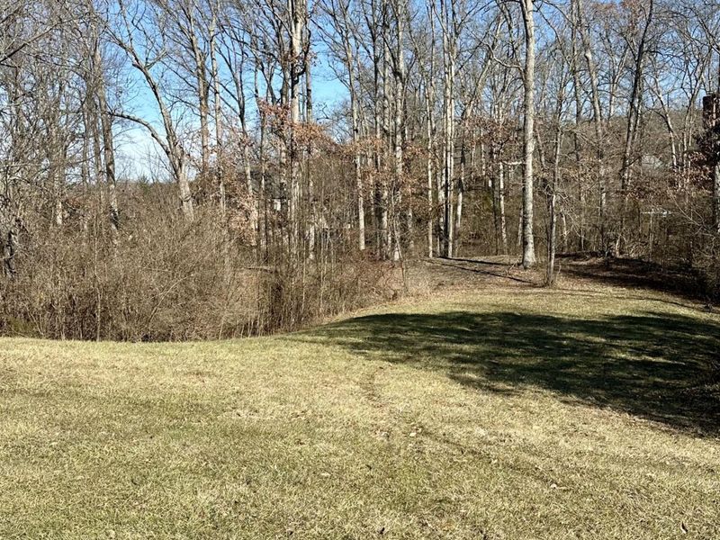 1 Saddle Ridge Trail, Alexandria, KY 41001 Photo 7