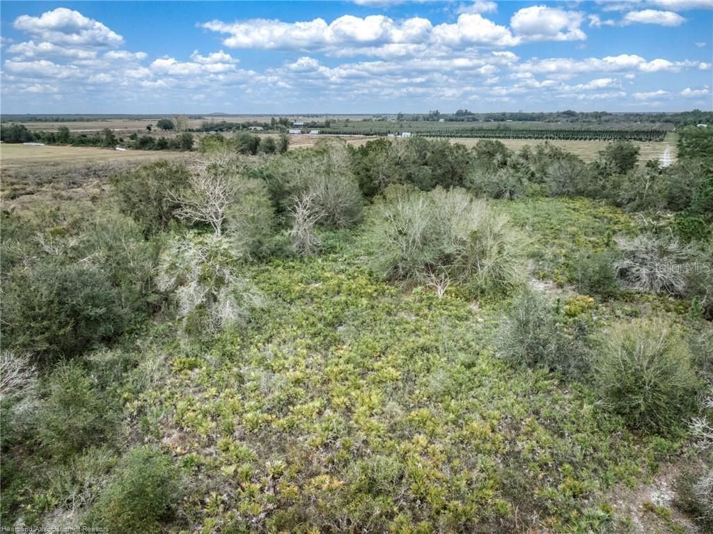 701 Jolly Lane, Lorida, FL 33857 Photo