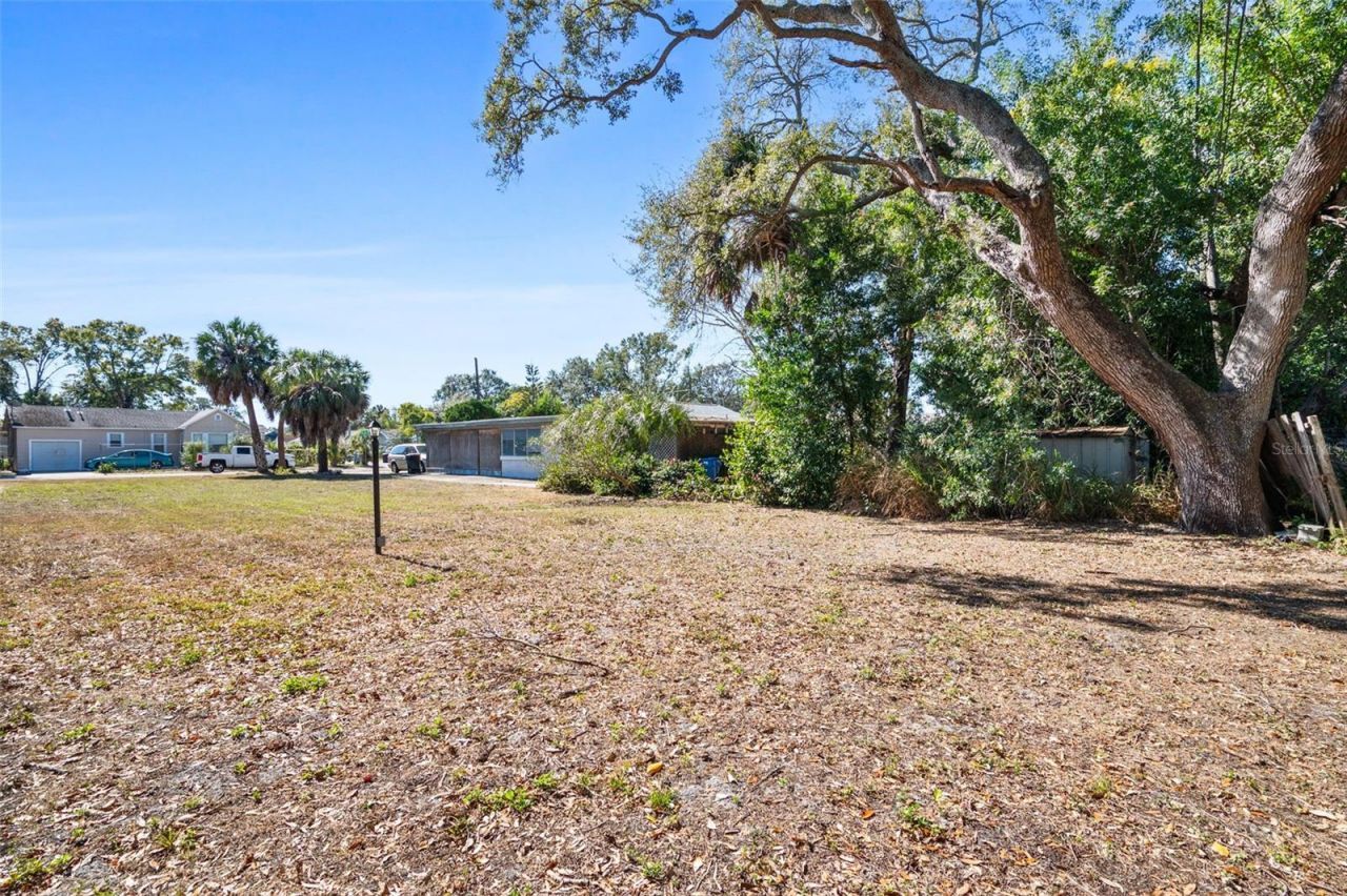13th Avenue, Saint Petersburg, FL 33712 Photo
