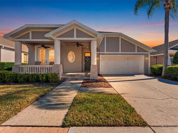 19413 GOLDEN SLIPPER PLACE, LUTZ, FL 33558