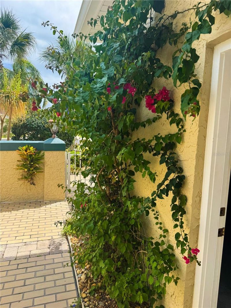 415 Bouchelle Drive, New Smyrna Beach, FL 32169 Photo