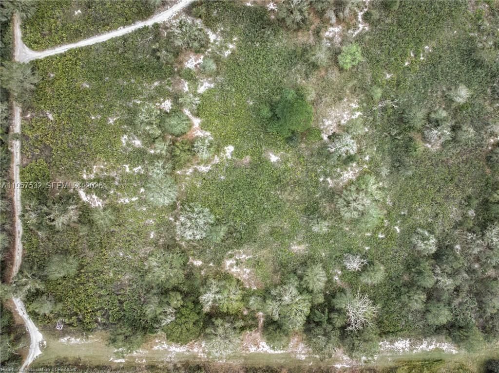 701 Jolly Lane , Lorida, FL 33857 Photo