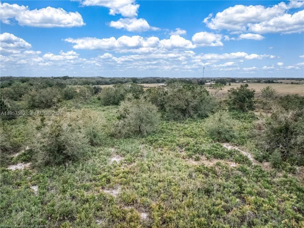 701 Jolly Lane , Lorida, FL 33857 Photo