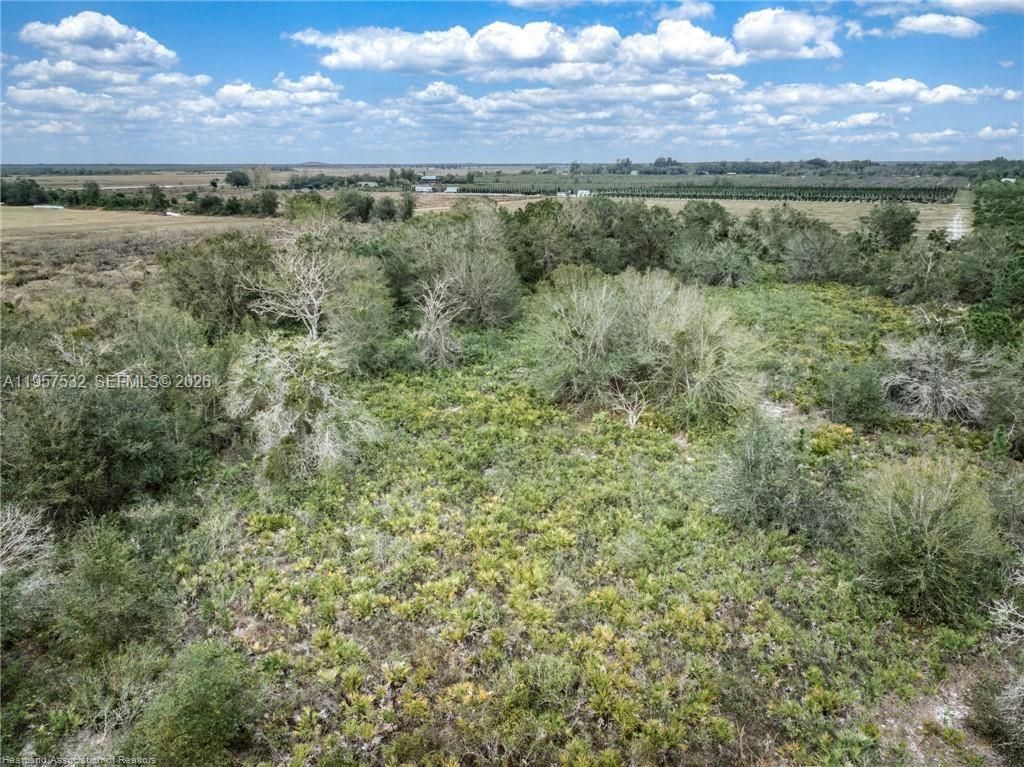 701 Jolly Lane , Lorida, FL 33857 Photo