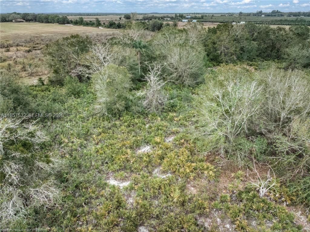 701 Jolly Lane , Lorida, FL 33857 Photo