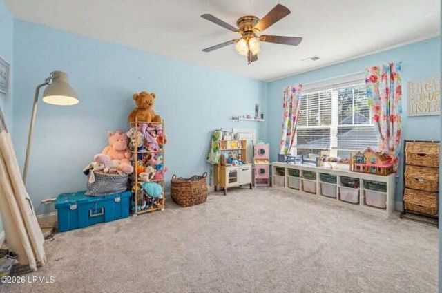 213 Black Skimmer Drive Photo 27