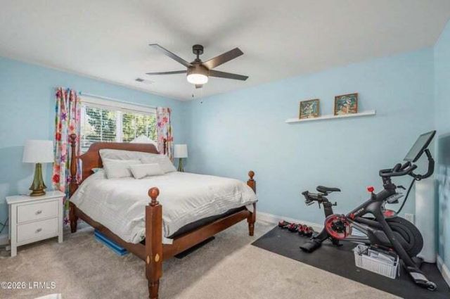 213 Black Skimmer Drive Photo 32