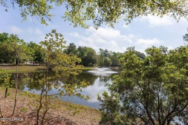 213 Black Skimmer Drive Photo 48