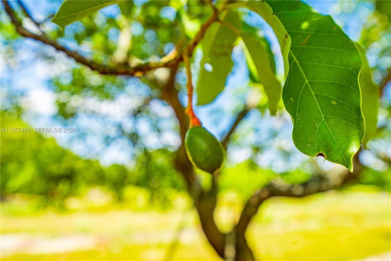 254xx SW 217ave , Homestead, FL 33031 Photo