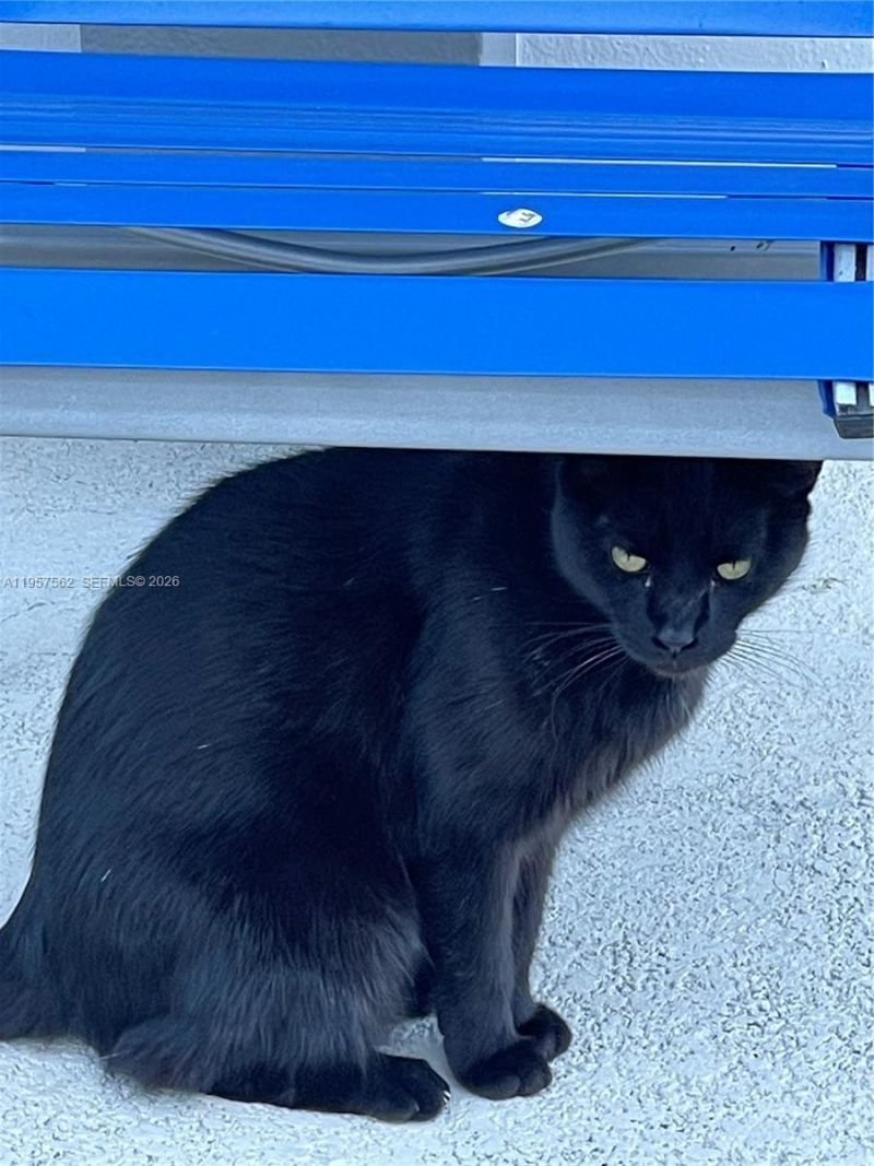 4910 NW 79th Ave, Unit 108, Doral, FL 33166 Photo