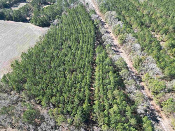 01 Clifton Ln, Flomaton, AL 36441