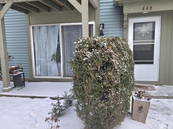 448 Bridle Trail, Unit 448, Wheeling, IL 60090