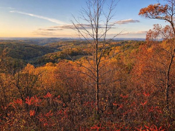 N7703 Wanlass Road, Mindoro, WI 54644