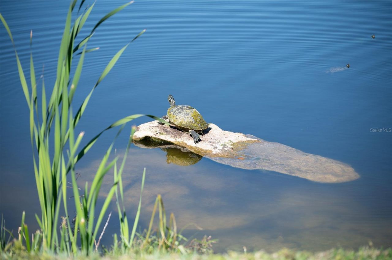 3715 45th Terrace W, Unit 103, Bradenton, FL 34210 Photo