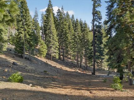 1216 Hidden Beach Road, Lake Almanor, CA 96137 Photo