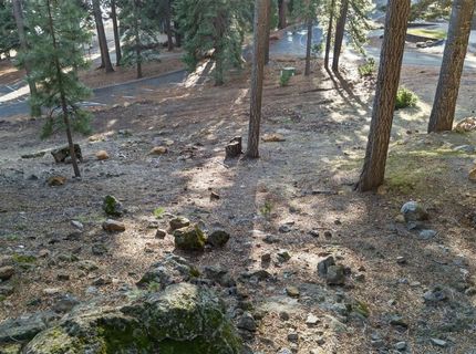 1216 Hidden Beach Road, Lake Almanor, CA 96137 Photo