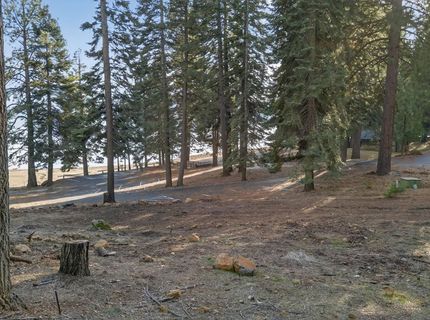 1216 Hidden Beach Road, Lake Almanor, CA 96137 Photo