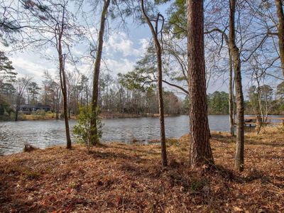217 Caro Lane, Chapin, SC 29036