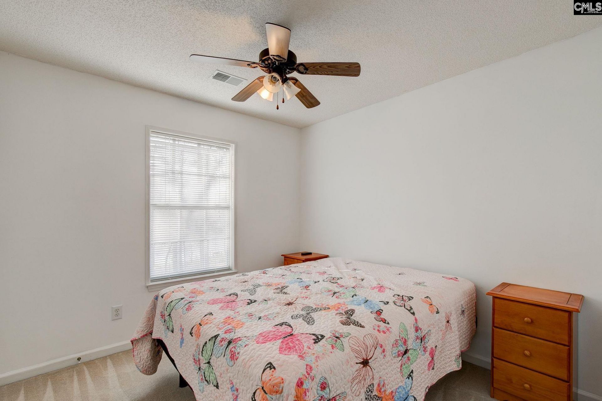 217 Caro Lane Photo 24