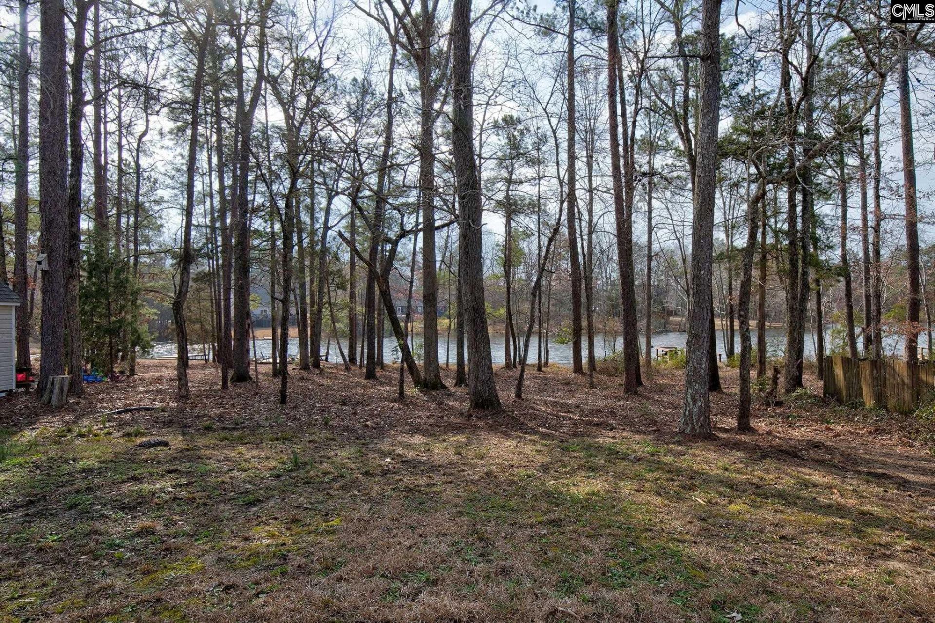 217 Caro Lane Photo 26