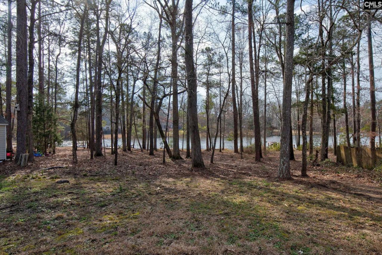 217 Caro Lane Photo 27