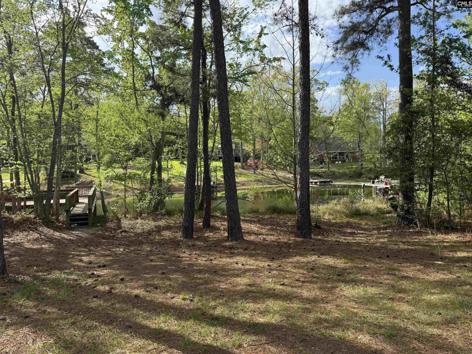 217 Caro Lane Photo 28