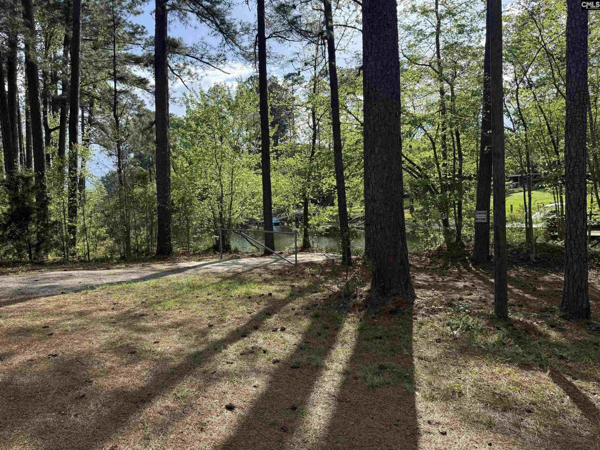 217 Caro Lane Photo 29