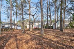217 Caro Lane photo 4