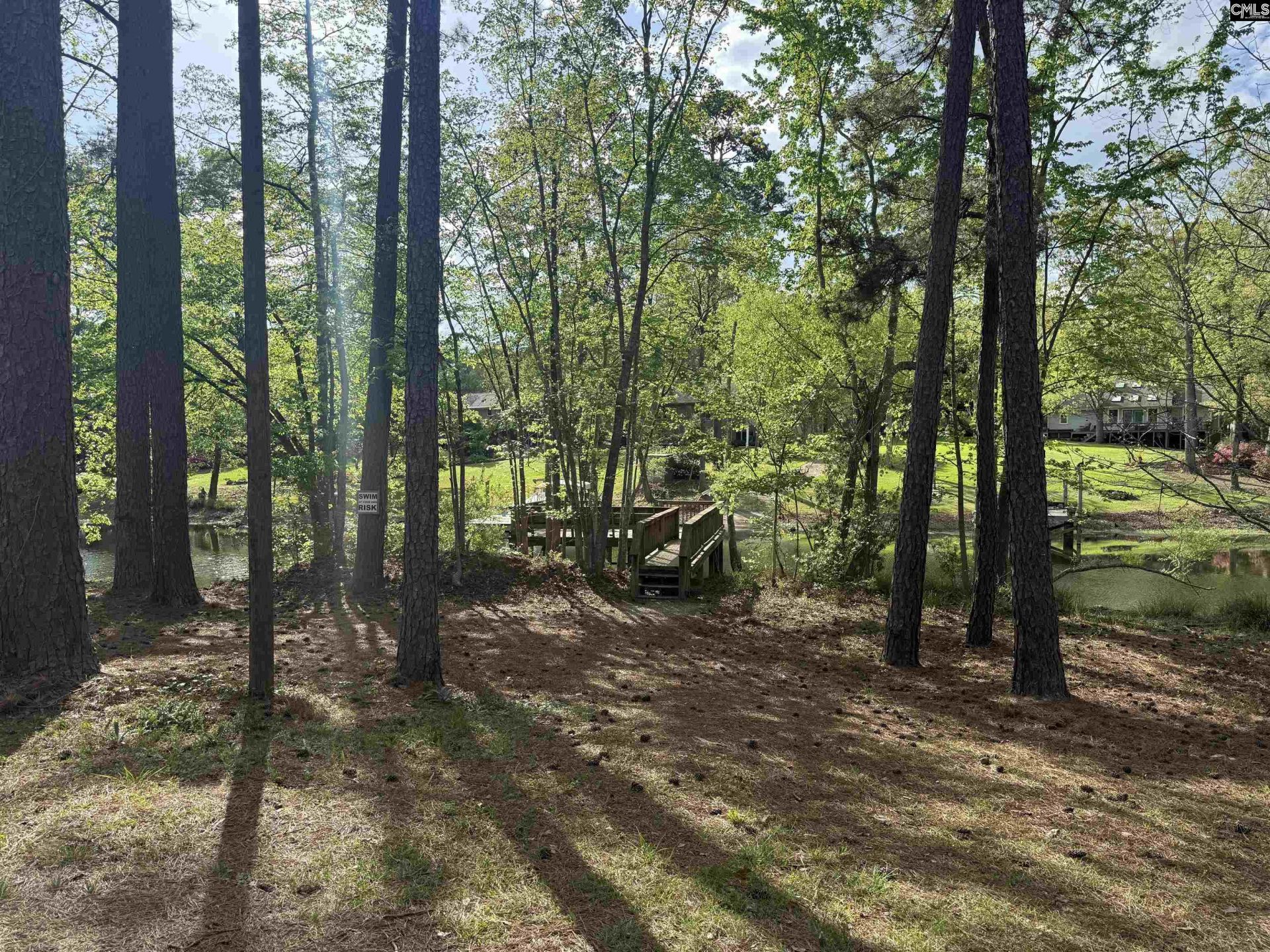 217 Caro Lane Photo 30