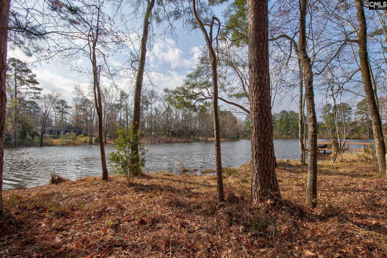 217 Caro Lane Photo 4