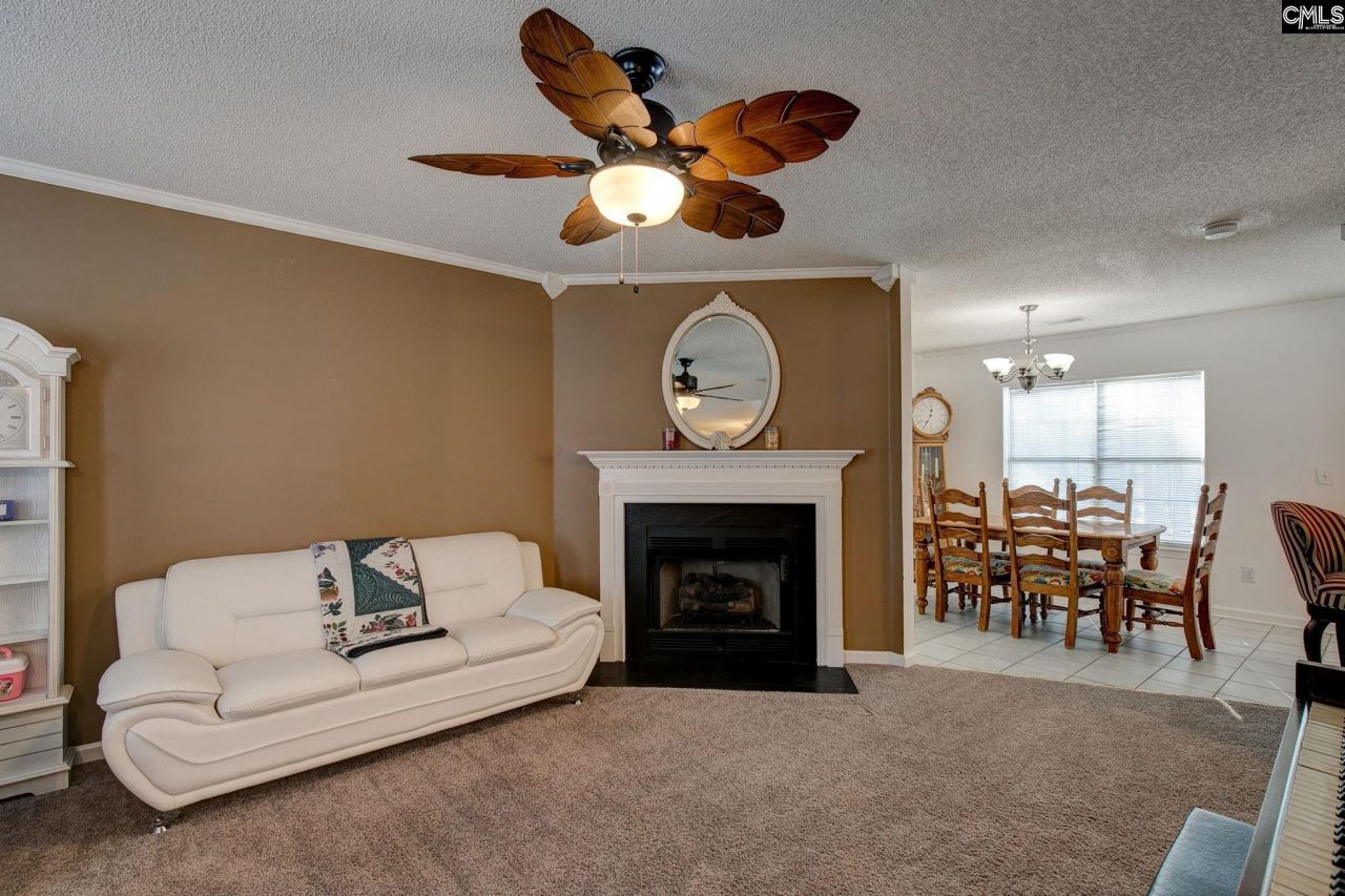 217 Caro Lane Photo 4