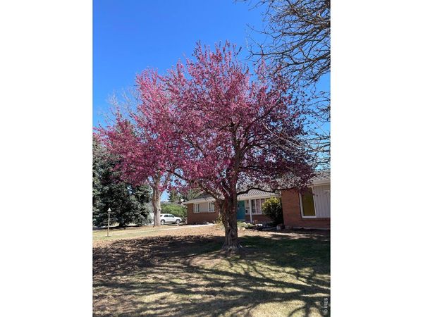 5860 Wood Sorrel Dr, Littleton, CO 80123