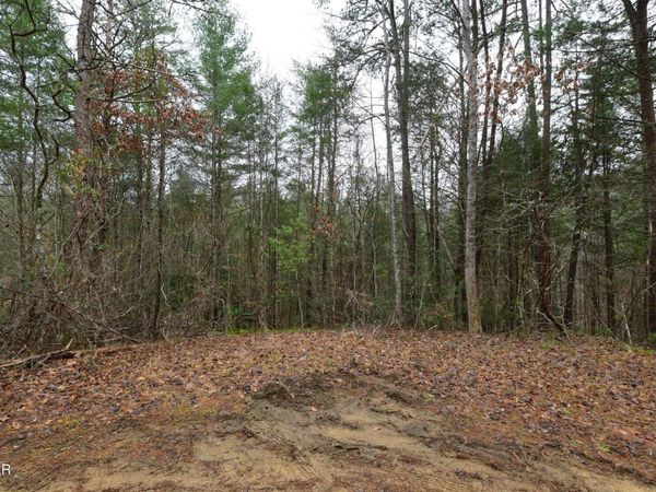 Lot 23 Alpine Ridge Way, Sevierville, TN 37876
