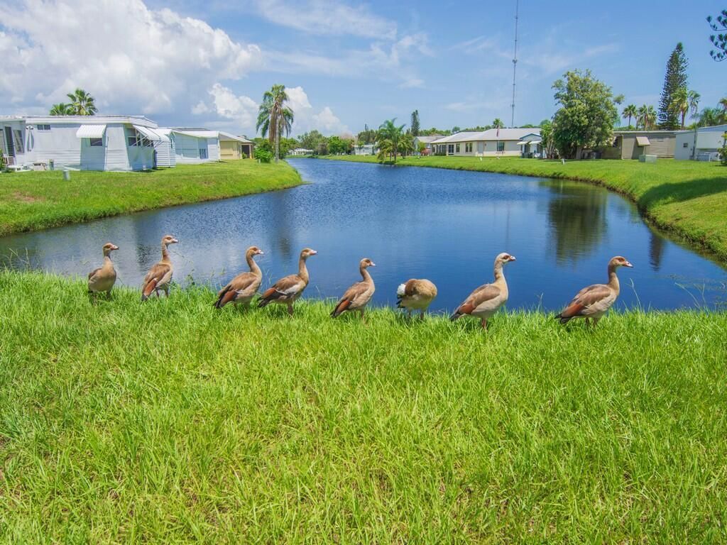 14 Golf Drive, Port Saint Lucie, FL 34952 Photo
