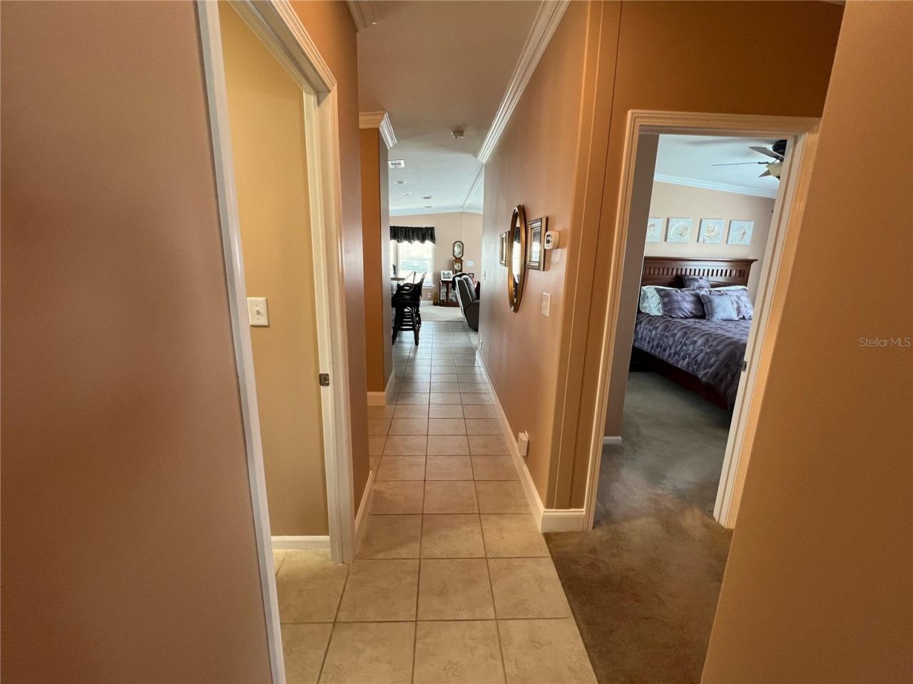 7316 Americana Drive Ne, Unit 146, Saint Petersburg, FL 33702 Photo