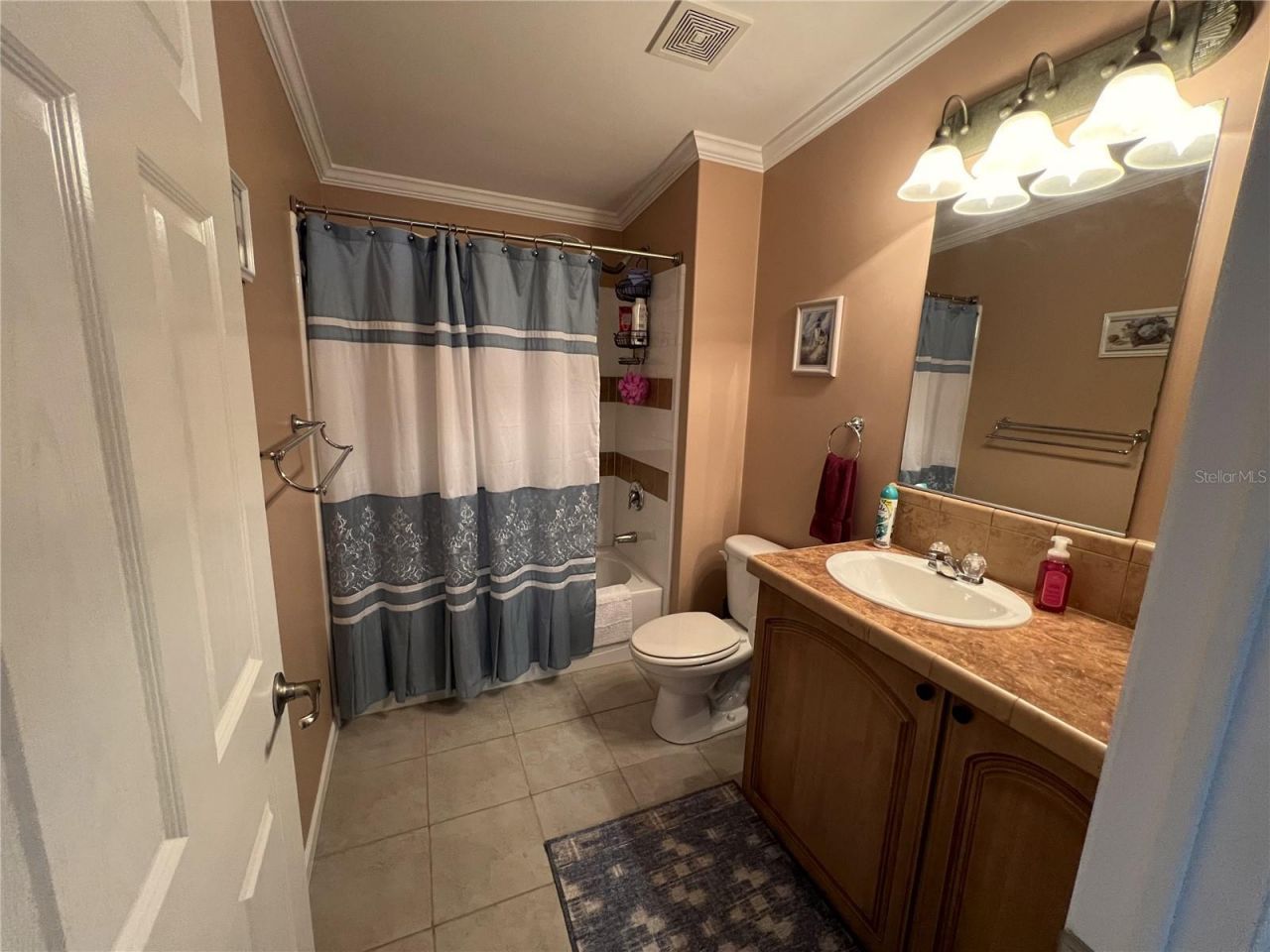 7316 Americana Drive Ne, Unit 146, Saint Petersburg, FL 33702 Photo