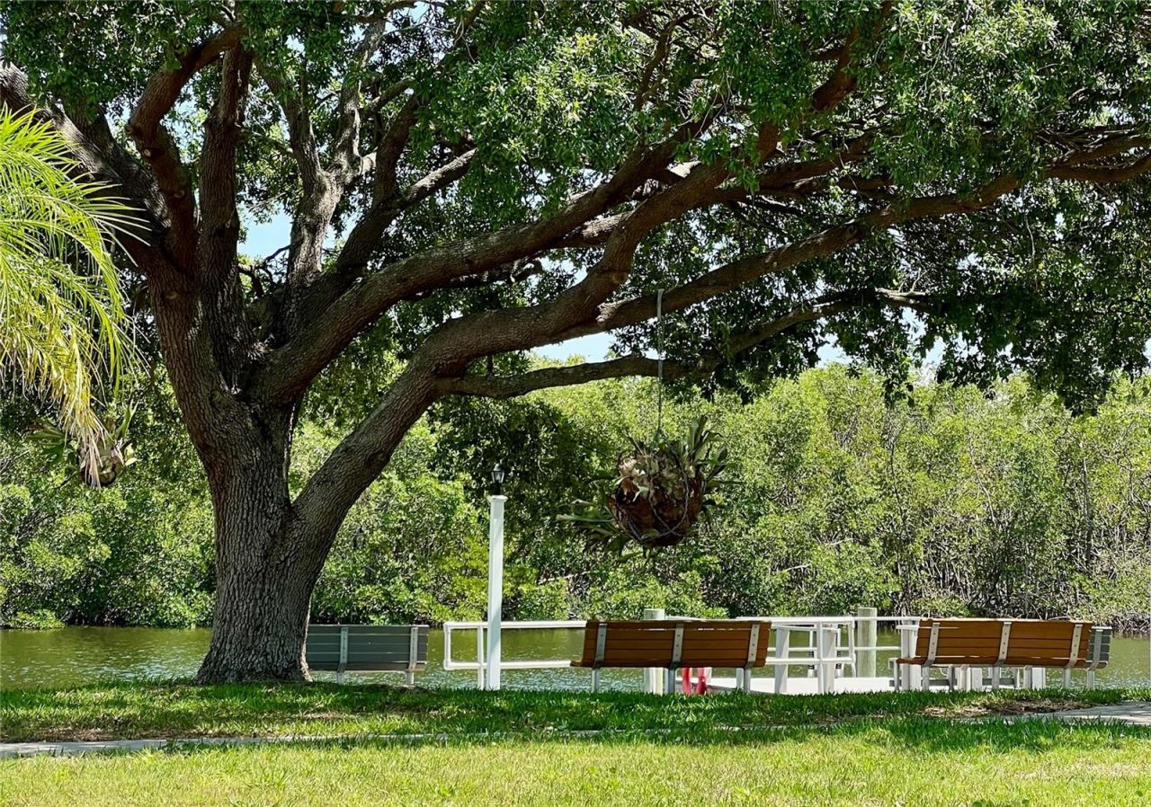 7316 Americana Drive Ne, Unit 146, Saint Petersburg, FL 33702 Photo